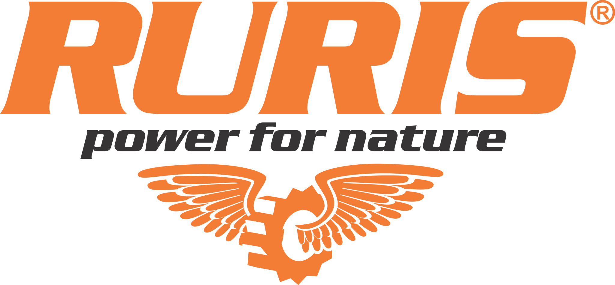 RURIS